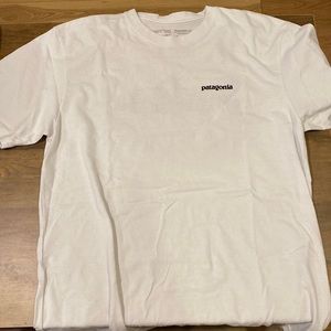 M Grey Patagonia T-Shirt w/ Fish on back